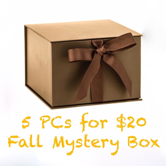 Tops Nwt Fall Mystery Box 5 For 2 Poshmark